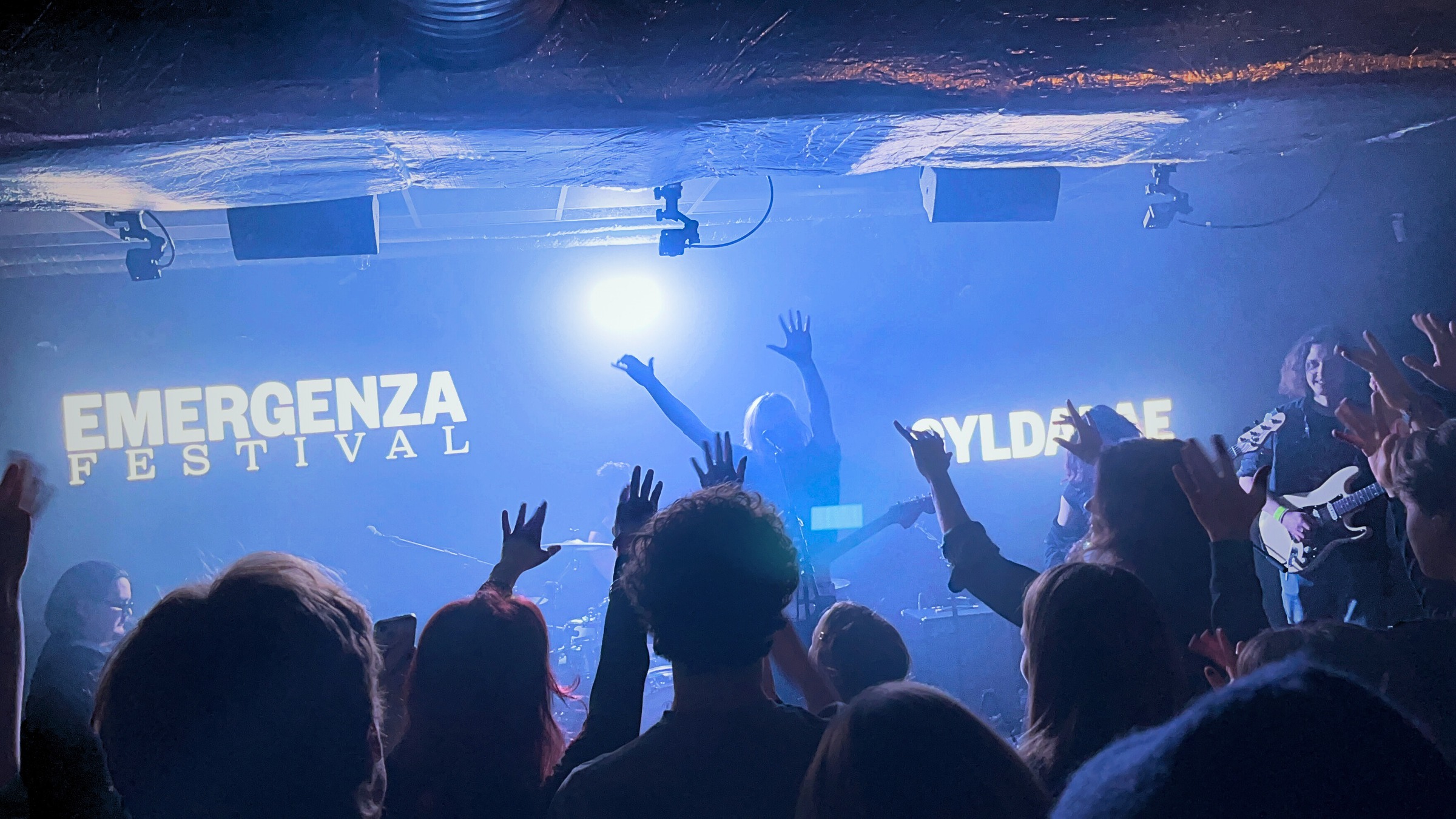 Tidings Gallery Image 1